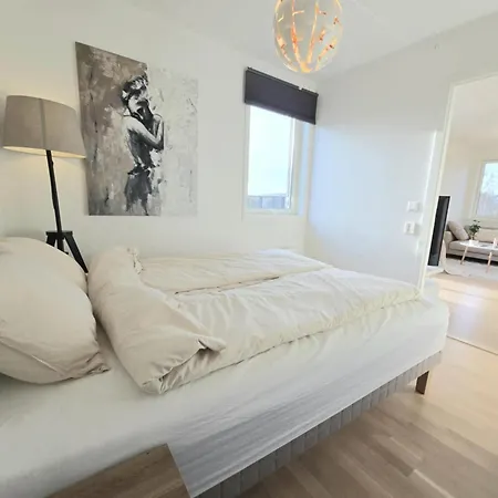 Modern Corner With Brand New Furnishing Daire Lorenskog